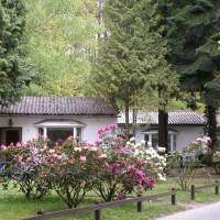 Usedomer Ferienwohnungen & Ferienhauser