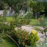 Mamfredas Resort-Zante Luxury Villas