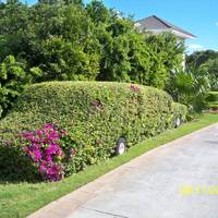 Iberostar Ensenachos