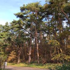 Ferienhaus Sonnenschein in Breege