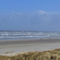 Mitten in Juist