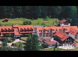 Berghotel Jagerhof ****S