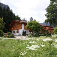 Ferienwohnung am Romerweg Wald
