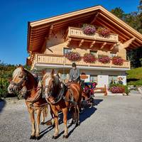 Ferienwohnungen Pfanzelter
