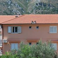 Vasilije Apartmani