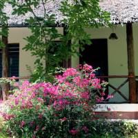 Mangrove Lodge