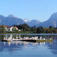 Landhaus Seeblick