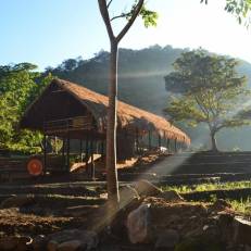Ella Jungle Resort