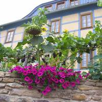 In der alten Weinstube