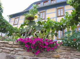 In der alten Weinstube