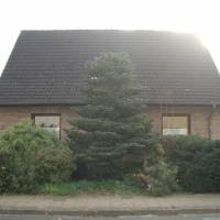 Traumhafte-Ferienwohnung-Kaethi