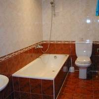 Крокус