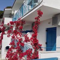 Aelia Studios