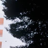 Los Angeles Apartments