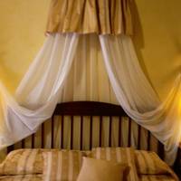 Hotel Tourist House