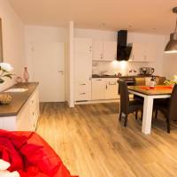 Harz Cottage Ferienwohnungen