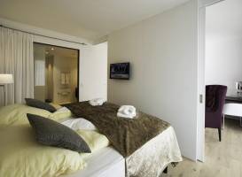 Hotel Konig Albert