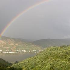 Ferienwohnung Rheinblick