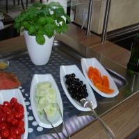 Rhein-Hotel