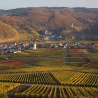 Weingut im Moselkrampen