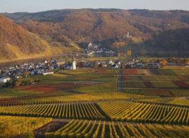 Weingut im Moselkrampen