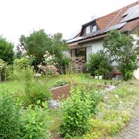 Vogesenblick