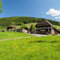 Landgasthaus Gruner Baum