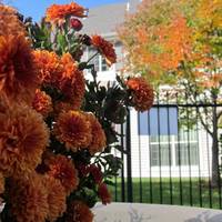 Cresthill Suites Wichita