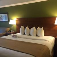 Quality Inn Flamingo