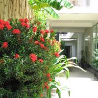 Frangipani Villa-60s Hotel