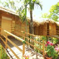 Hotel Treetop