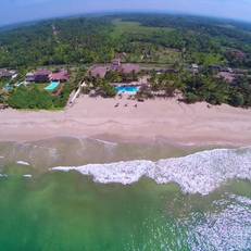 Whispering Palms Hotel
