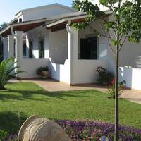 Paradise Inn
