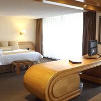 Royal Pedregal Hotel