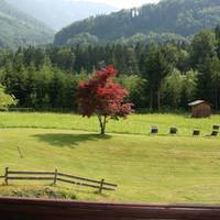 Gasthof zur Wacht