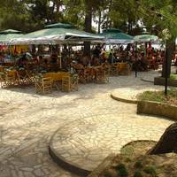 Plavi horizonti