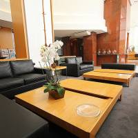 PROMENADE BH PLATINUM