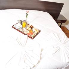 AMAZONAS PALACE HOTEL