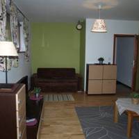 Pod Nosalem - Jaszczurowka Bory Apartamenty