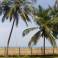 пальмы на территории отеля с видом на океан