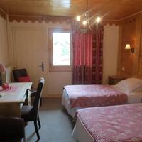 Hotel Les Glaciers - Bonnabel