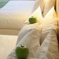 Greenview Hotel