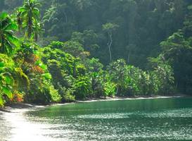 Playa Nicuesa Rainforest Lodge
