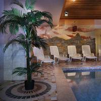 Res. Chalet des Neiges Oz en Oisans