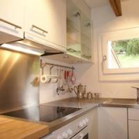 Chalet Nussbaum Apt