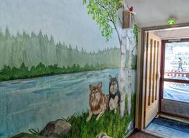 Guesthouse Borealis