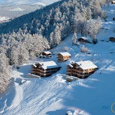 Apartments & Chalets