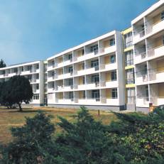 Bellevue Cer