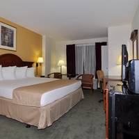 Best Western Plaza Hotel & Suites At Medical Center