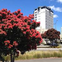 The Bay Plaza